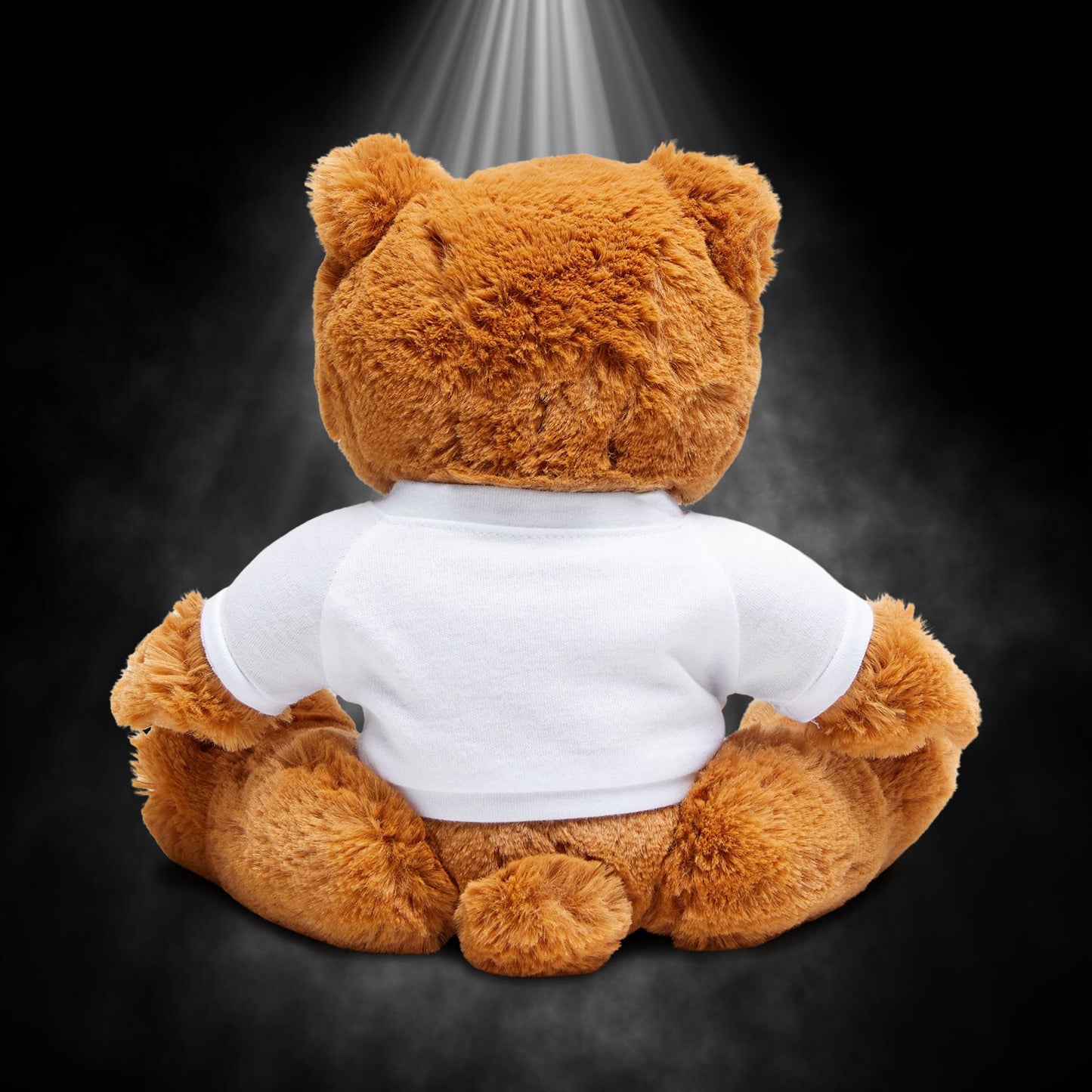 Customizable Deluxe Teddy Bear with T-Shirt